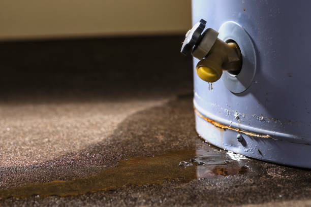 Best Carpet water damage restoration  in Ovid, MI