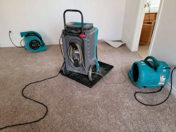 Best Ceiling water damage repair  in Ovid, MI