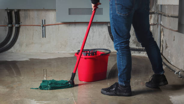 Water damage restoration mold remediation in Ovid, MI