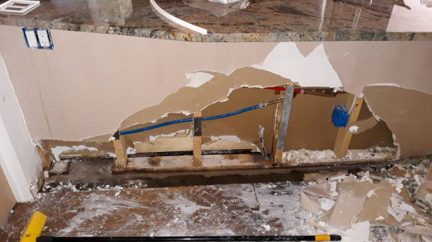 Best Mold removal after water damage  in Ovid, MI