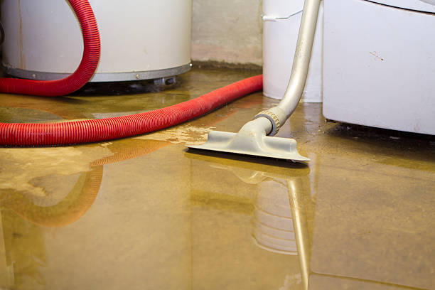 Best Commercial water damage restoration  in Ovid, MI