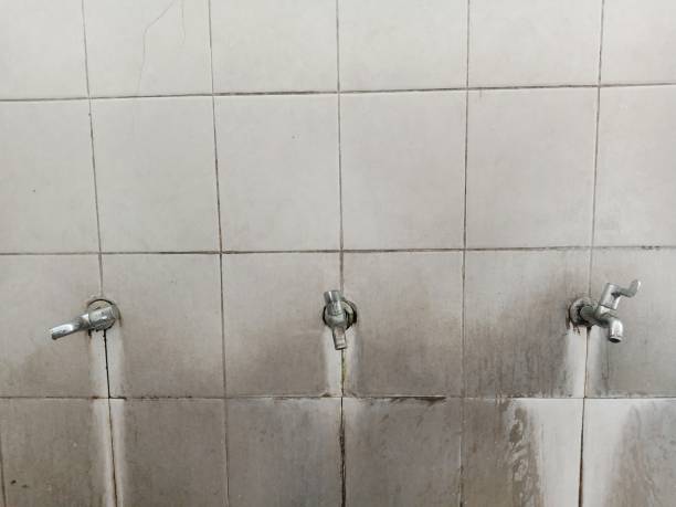 Ovid, MI Water damage restoration Company