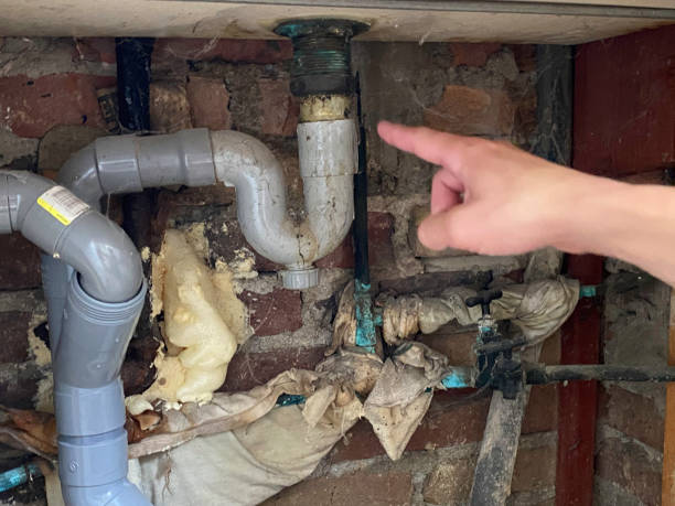 Best Sewage cleanup and water damage restoration  in Ovid, MI