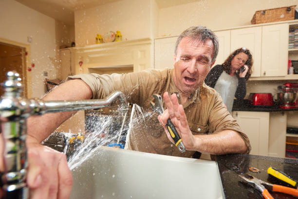 Best Flood damage cleanup  in Ovid, MI